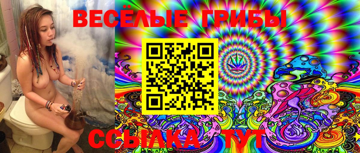 купить наркоту  Псилоцибиновые грибы Psilocybe  Вход с VPN  Горячий Ключ 